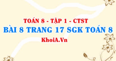 Bài 8 trang 17 SGK Toán 8 Tập 1 Chân trời sáng tạo